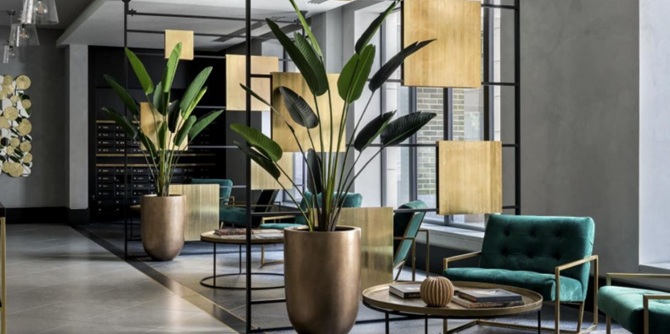 кашпо в інтер'єрі