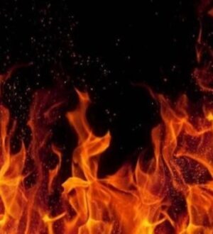 Автоматичний вогнегасник AFO Fire Ball: кращий захист складів та військової техніки