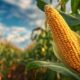 Интенсивные технологии выращивания сельскохозяйственных культур